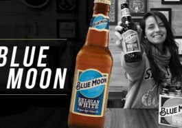 degustação cerveja blue moon