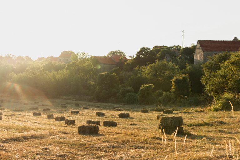 É possível uma fazenda pequena virar referência mundial em produção de cerveja?